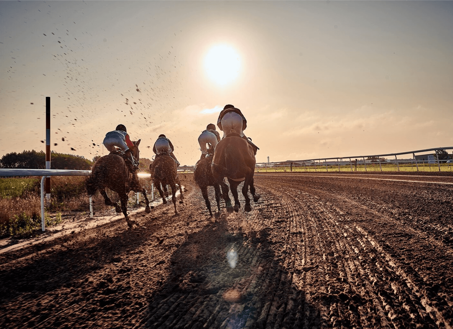 Why sound matters in betting