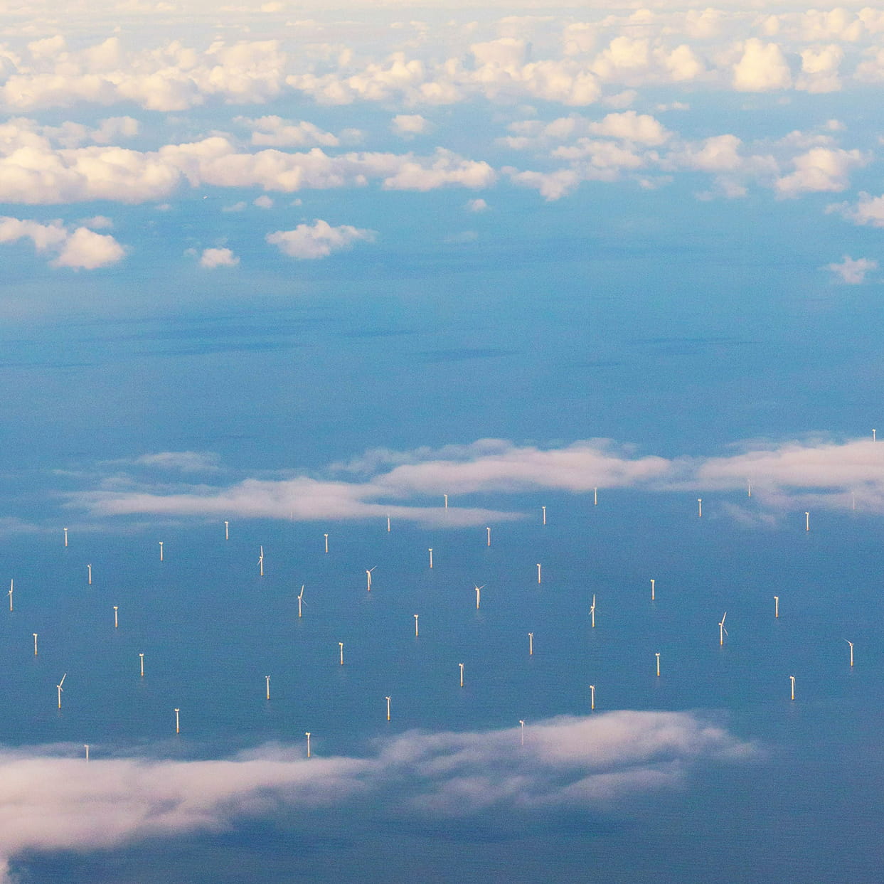 Advertising & campaigns