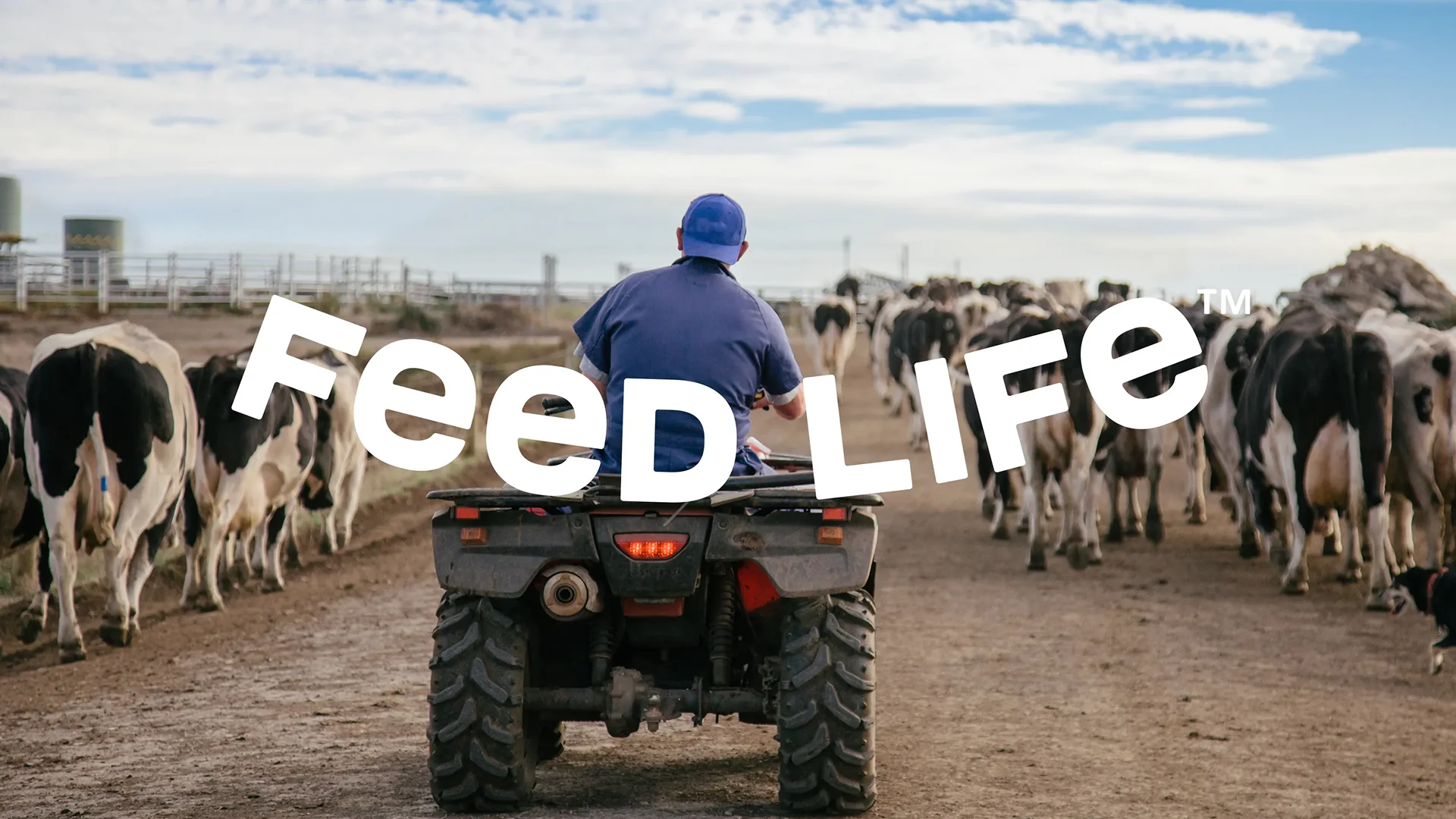Arla Feed Life brand visual